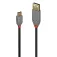 Lindy USB-C kaapeli 2 m