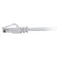 C2g Cable de red CAT6 UTP 30 cm