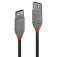 Lindy 2xPhono Jack 3.5 Cable 2 m