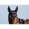 Equitheme Orelleres per a cavall Badge