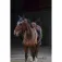 Equitheme Denim 馬用イヤーネット
