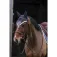 Equitheme Denim equiline huva