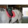 Equitheme Softy 마장마술 안장 패드