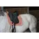 Equitheme Mantilla doma Softy