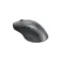 Lenovo 4Y51J62544 wireless mouse