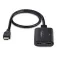 Startech 4K60 HDMI 分配器 2 端口