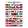 Erregrafica Nations Flags Board