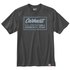 Carhartt Crafted Graphic T-shirt med korta ärmar