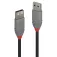 Lindy Cable de extensión USB 3 m