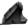 Trust Bayo ergonomic mouse