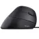 Trust Bayo ergonomic mouse