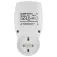Rev Energy Cost Plug Consumption Meter