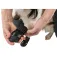 Trixie Walker Active Hundeschuhe