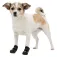 Trixie Walker Active Hundeschuhe