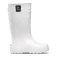 Gatusos Botes Explorer