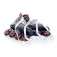 Tempish Volt-R Hockey inline skates