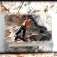 Yy vertical Gafas de escalada Classic