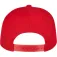 Flexfit Gorra Classic Snapback