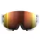 POC Nexal ski goggles