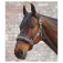 Waldhausen Capezza Elegant