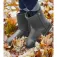 E.L.T. Rainless junior boots