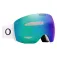 Oakley Flight Deck L Prizm ski goggles