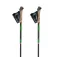 Gabel Bastons FLD Carbon