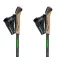 Gabel Bastons FLD Carbon