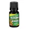 Reactor baits Aroma Zero liquid bait additive Squid 10ml