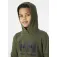 Helly hansen Logo huppari