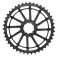 Wolf tooth Pignone Sram