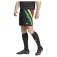 adidas Fortore 23 shorts