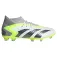 adidas Predator Accuracy.1 FG 축구화