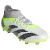 adidas Predator Accuracy.1 FG 축구화