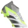 adidas Predator Accuracy.1 FG 축구화