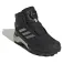 adidas Terrex Winter Mid Boa R.Rdy hiking shoes