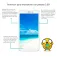 Nothing Phone 1 screen protector