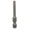 Bosch T20 E 49 mm torx-bits