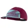 Dynafit Alpine Graphic 캡
