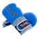 Fullboxing Master Leder künstliche Boxhandschuhe