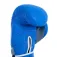 Fullboxing Master Leather artificial boxing gloves