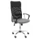 Forol Gontar D40CRRP 办公椅