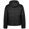 Lacoste Giacca BH1666