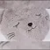 Atmosphera Coussin Cat