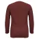 Odlo Eco long sleeve base layer