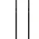 Elan Speedrod 杖