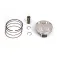 Vertex piston Ref:24371A stempelkit
