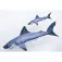 Gaby White Shark Pillow
