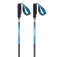 Salomon Pulsar Carbon poles