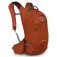 Osprey Raptor 10L sekk